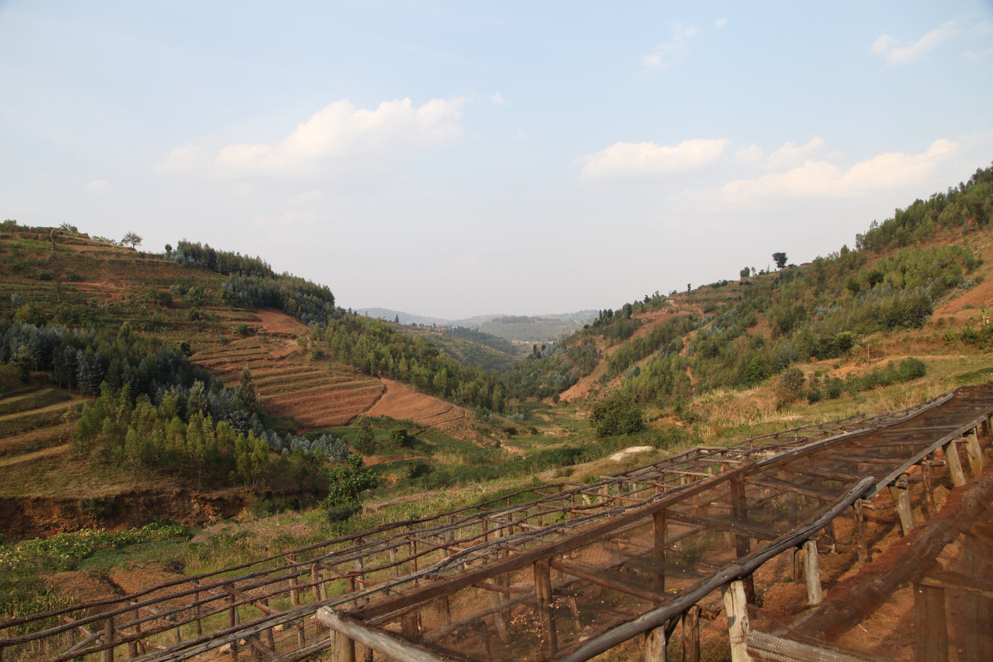 Coffee from Rwanda - Gakenke - 100% Arabica - Organic, Fair Trade